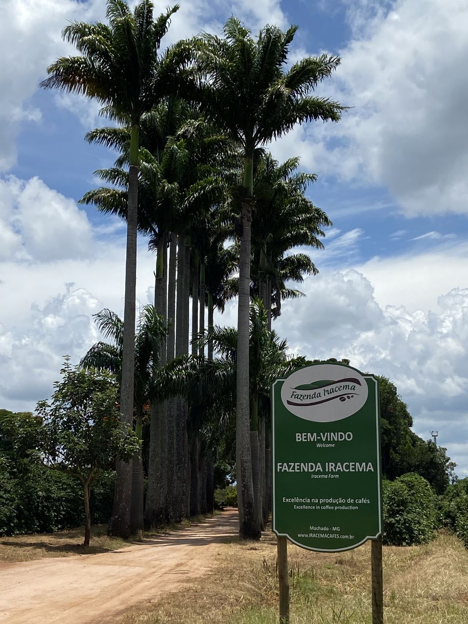 Fazenda Iracema - Machado - Paraguaçu MG